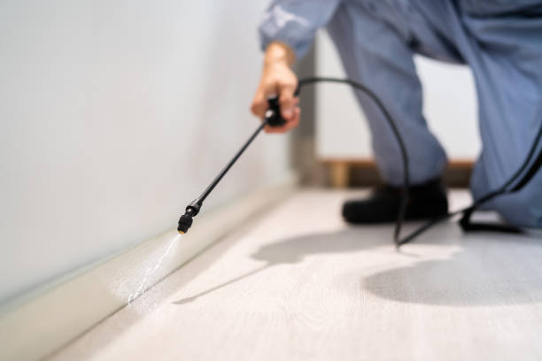 Bed Bug Pre-Treatment Preparation Assessment in Long Valley
