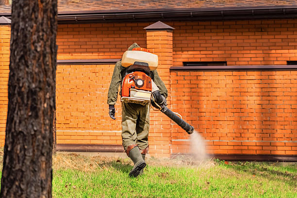 Bed Bug Clearance Verification and Documentation in Long Valley